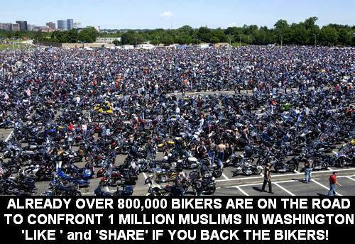 800.000 hogs;5