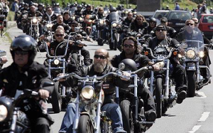 800.000 hogs;6