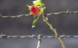 Θυσία καὶ Ζωή…