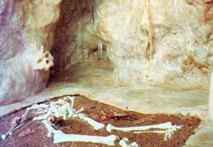 Πιστή αναπαράσταση του Μαυσωλείου, του  χώρου που βρέθηκε ο Αρχάνθρωπος (το κρανίο  του κολλημένο στον βράχο και  ο  σκελετός  του  κάτω  από το σταλαγμιτικό υλικό). Η αναπαράσταση βρίσκεται στο Ανθρωπολογικό Μουσείο που ίδρυσε η Ανθρωπολογική Εταιρεία Ελλάδος στα Πετράλωνα 