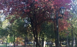 Ἡ Φύσις στὴν πιὸ καλή της ὥρα…