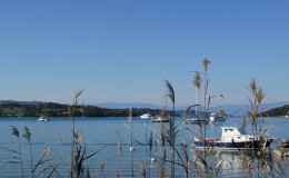 Ζῳῆς ἀποστάγματα…