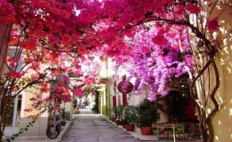 Ἀπολαμβάνοντας τὸ περισσότερο Φῶς…