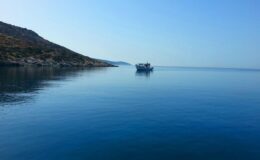 Τὰ …ἀναγκαία!!!