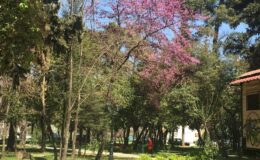Ἡ Ἄνοιξις μᾶς κλείνει τὸ …μάτι!!!