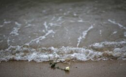 Δίδοντας κατ’ ἐπανάληψιν εὐκαιρίες καταλήγουμε θύματα ἢ καὶ …συνεργοὶ ἐγκλημάτων!!!