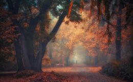 Δὲν ὑπάρχει ζωὴ δίχως (ἀτομικὸ) σκοπό